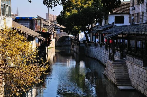早上出门徒手抓住一只斑鸠(这时候斑鸠还全身有毛)，结果没一会儿斑鸠就挣脱跑了，然后手上只剩下斑鸠的游戏画面