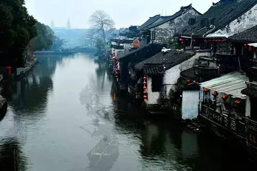 危险森林大逃脱